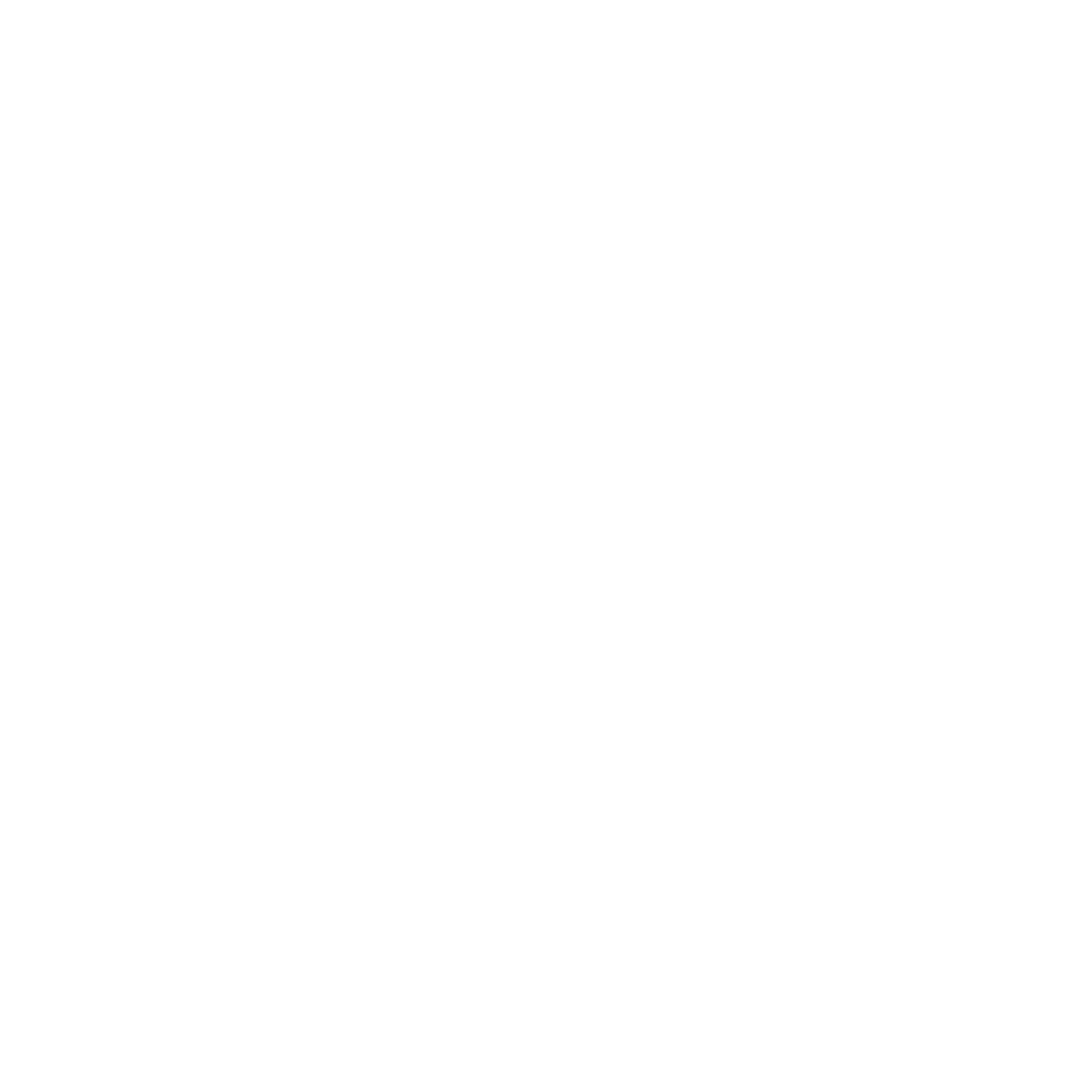 Indian Adventure Fusion